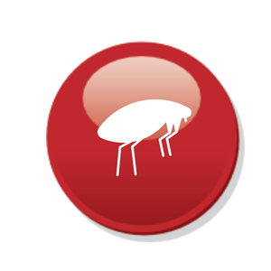 Experience Reliable Pest Control Services in Essex